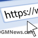 DGMNews.com: Your Go-To Source for the Latest Updates