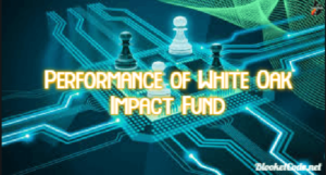 The Future of the White Oak Impact Fund