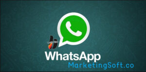 What is WhatsAppMarketingSoft.co?