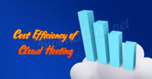 Cost Efficiency of Cloud Hosting