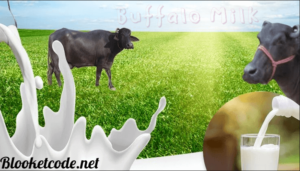 Nutritional Composition of Buffalo Milk